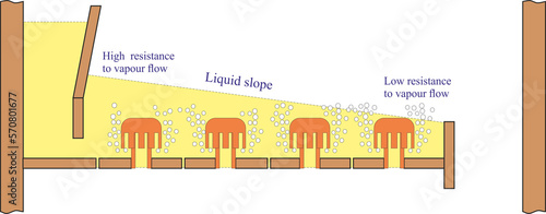 Liquid Slope in Bubble-Cap Tray