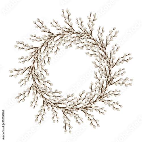 Wreath made of pussy willow branches on white background