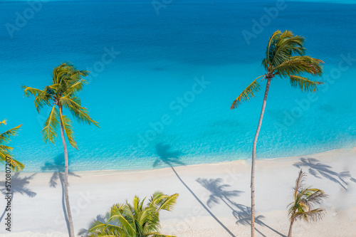 Fototapeta Naklejka Na Ścianę i Meble -  Beach palm trees on the sunny sandy beach and turquoise ocean from above. Amazing summer nature landscape. Stunning sunny beach scenery, relaxing peaceful and inspirational beach vacation template
