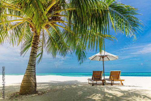 Tranquil tropical beach nature as summer landscape with lounge chairs beds palm tree leaves and calm sea for beach banner. Luxury travel landscape, beautiful destination for vacation or holiday scene