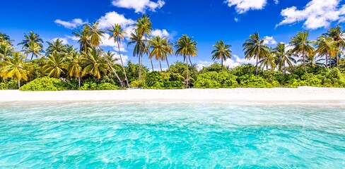 Deken met foto Palmboom Weids tropisch strand wit zand palmen zomerpanorama  © icemanphotos