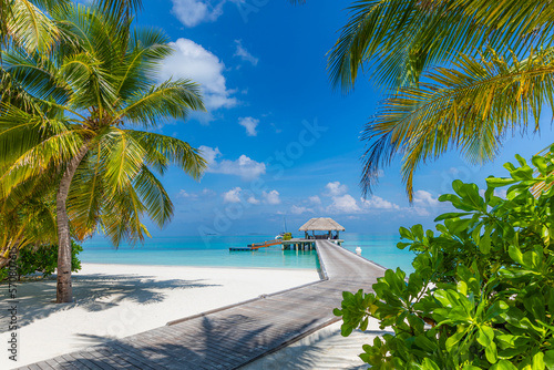 Fototapeta Naklejka Na Ścianę i Meble -  Fantastic tropical travel island. Sunny blue sky holiday vacation background. Wooden pathway, pier. Amazing summer travel landscape concept. Ocean bay palm trees sandy beach. Exotic nature closeup