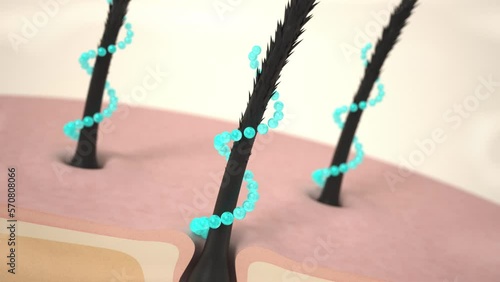 Hair care, Animation Nourish hair action of shampoo or serum. Repair Damaged Hair. transparent background