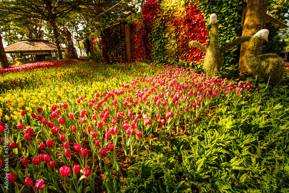 Garden of heaven Garden of heaven