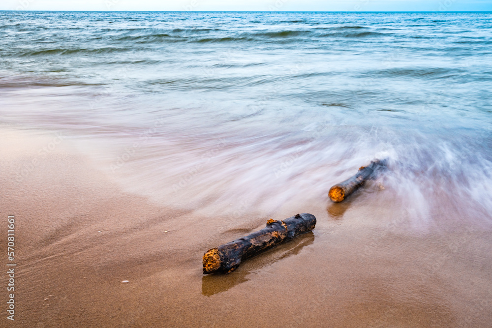 branch by the sea
