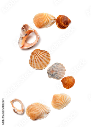 Wallpaper Mural Letter S composed of seashells Torontodigital.ca