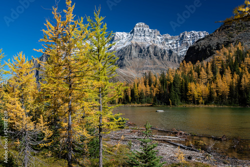 Autumn at Lake O’Hara. Yoho national park. Canadian Rockies.