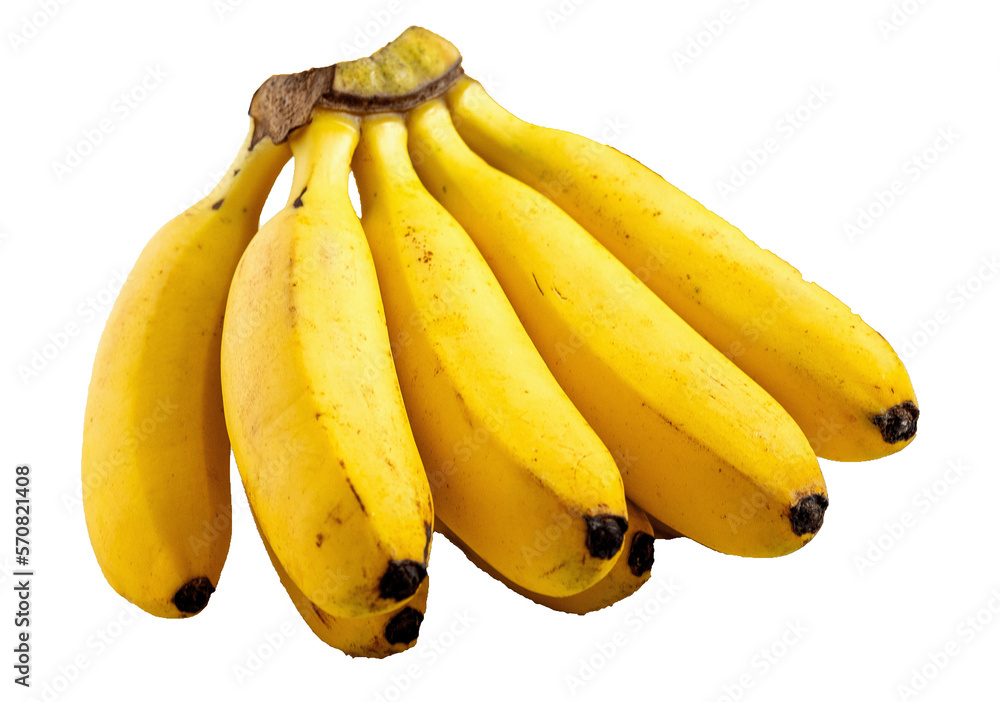 新鮮なバナナ切り抜き影あり