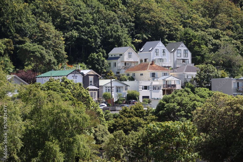 Houses in New Zealand's capital city of Wellington.