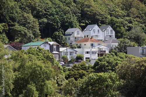 Houses in New Zealand's capital city of Wellington. © SJM 51