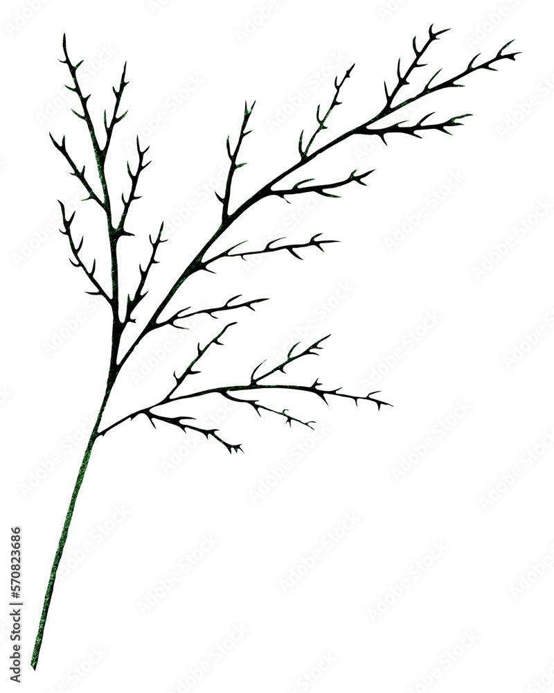 Green Hand Drawn Flower Leaves Isolated on White Background. Flower Branch Drawn by Pencil.
