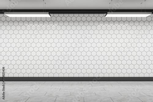Front view on blank white wall background with honeycomb print and place for advertising poster illuminated from top in empty underground hall with concrete floor. 3D rendering, mock up © Who is Danny