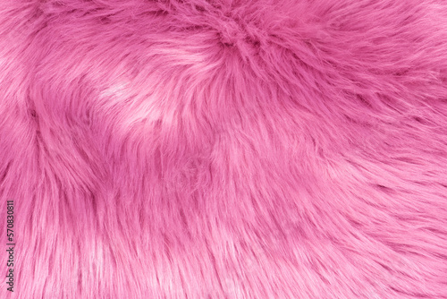 Pink fur texture top view. Pink sheepskin background. Fur pattern. Texture of pink shaggy fur. Wool texture. Sheep fur close up