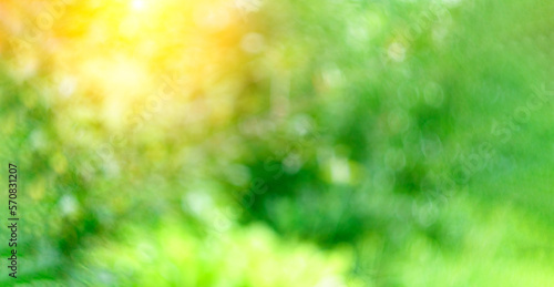 Fototapeta Naklejka Na Ścianę i Meble -  Colorful summer, spring bokeh background. Abstract soft green texture. Green color. Selective focus
