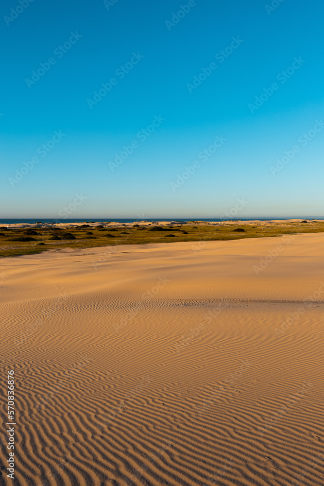 Beautiful sand dune view in the morning.