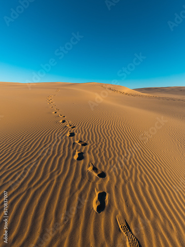 Footpath on the sand dune.