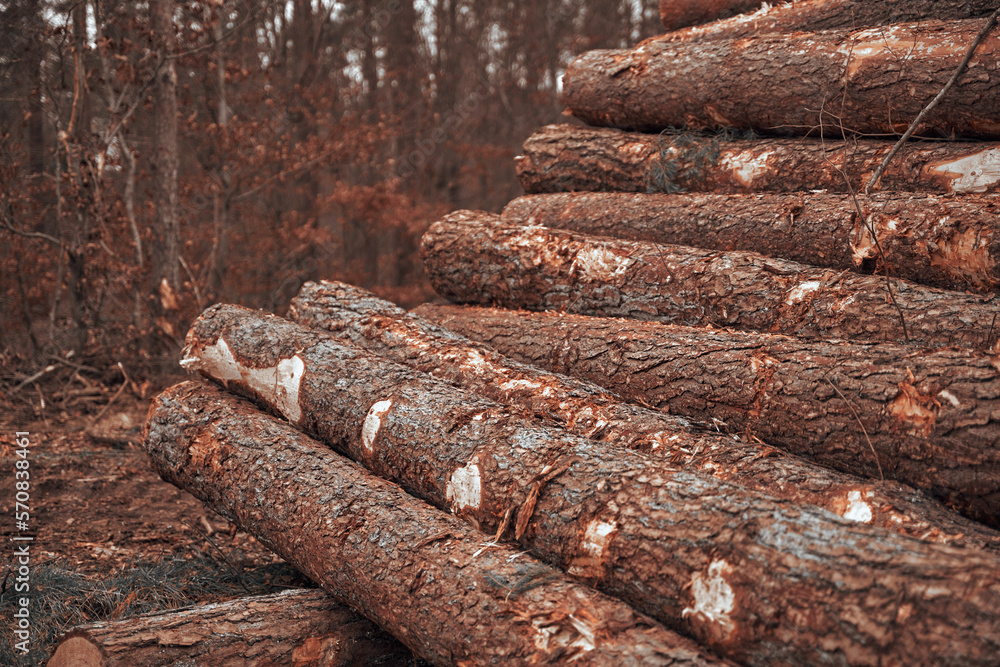 Renewable bio fuel preparation. Winter heating season. Wall of stacked wood logs. Renewable bio fuel preparation. Winter heating season. Wall of stacked wood logs.