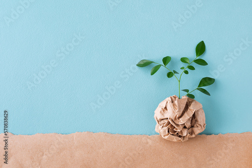 Sprout of small tree with green leaves growing from recycled craft paper top view. Eco, saving energy, zero waste, plastic free and environment conservation concept.