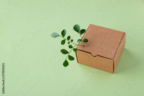 Cardbox from recyclable organic materials with green leaves sprout. Eco friendly packaging, zero waste and plastic free concept.