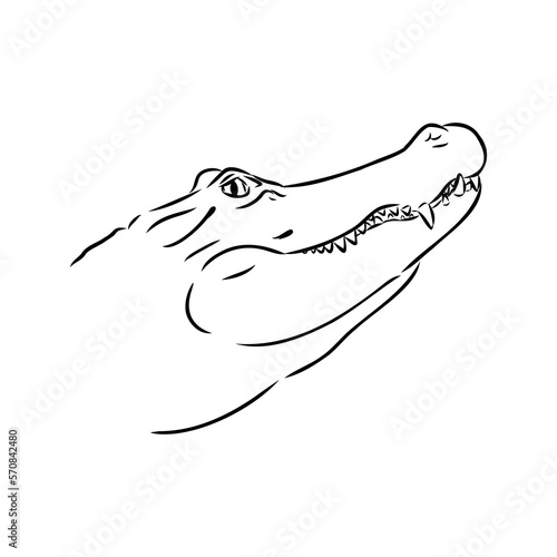 Hand-drawn pencil graphics, crocodile, alligator, croc. Engraving, stencil style. Black and white logo, sign, emblem, symbol. Stamp, seal. Simple illustration. Sketch.