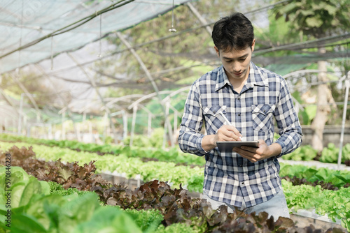 Farmer with tablet computer checking quality and freshness of organic vegetables hydroponic.