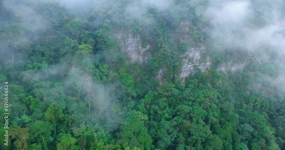 aerial view of rock mountain in amazon rainforest aerial view of rock mountain in amazon rainforest