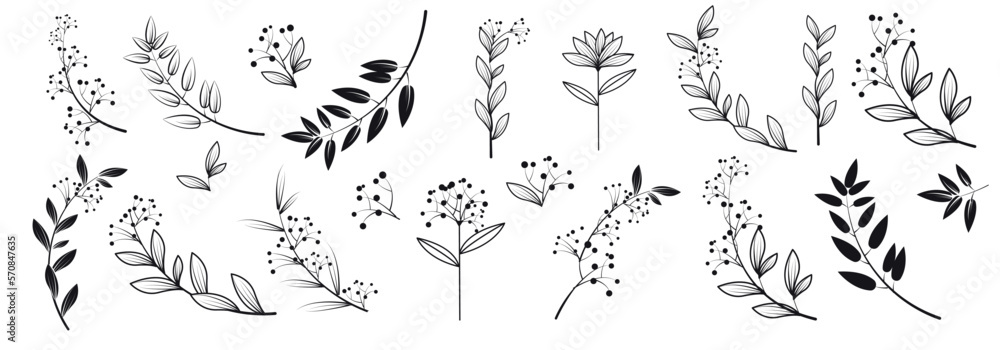 Fototapeta premium graphic elements for illustration and design, indoor flowers, leaves and twig for decoration, magnolia, element for logo, florist
