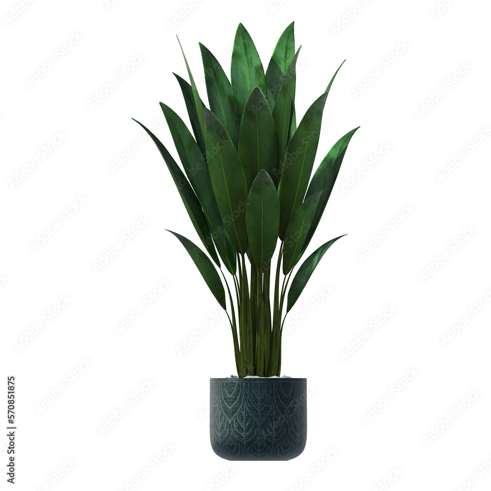 decorative flowers and plants for the interior, isolated on transparent background, 3D illustration, cg render
decorative flowers and plants for the interior, isolated on transparent background, 3D illustration, cg render
