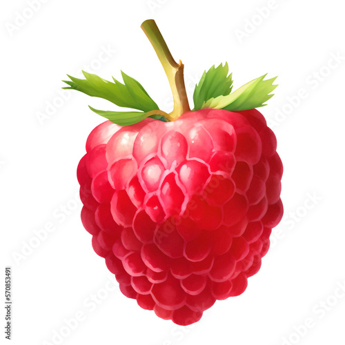 Red Raspberry with Leaves and Stem Isolated Detailed Hand Drawn Painting Illustration