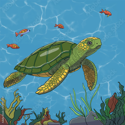 Fototapeta Naklejka Na Ścianę i Meble -  turtle in the sea