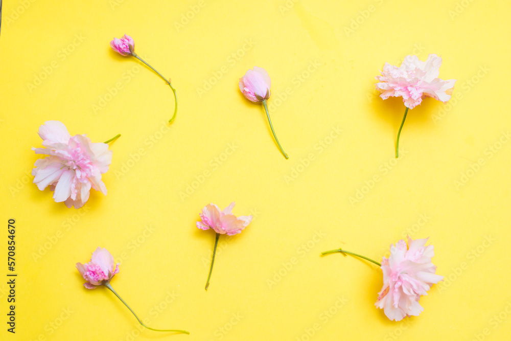 flowers on a bright background