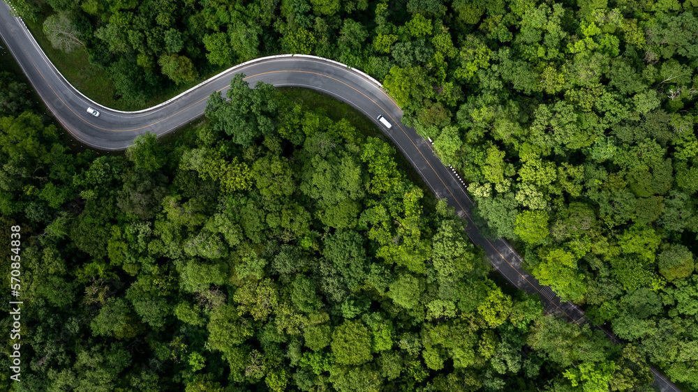 Aerial view green forest with car on the asphalt road, Car drive on the road in the middle of forest trees, Forest road going through forest with car. - obrazy, fototapety, plakaty 