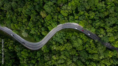 Fototapeta Naklejka Na Ścianę i Meble -  Aerial view green forest with car on the asphalt road, Car drive on the road in the middle of forest trees, Forest road going through forest with car.