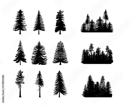 Pine tree silhouette, fir forest. Black and white spruce or cedar logo, vintage coniferous patch. horizontal background taiga pattern and single trees. Monochrome vector icon garish set