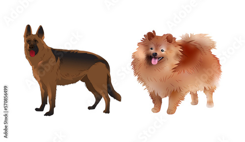 Vector Illustration of Two Different Breeds of Dogs Against a White Background