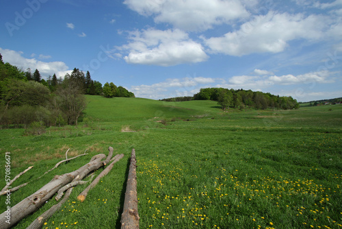 Fototapeta Naklejka Na Ścianę i Meble -  Spring landscape of Krzywa village in Low Beskids, Poland