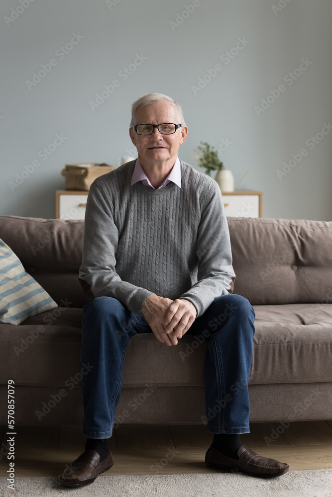 Old senior retired man in glasses and casual clothes sitting on sofa in cozy home interior, looking at camera. Male pensioner, retiree, elderly mature homeowner vertical portrait Old senior retired man in glasses and casual clothes sitting on sofa in cozy home interior, looking at camera. Male pensioner, retiree, elderly mature homeowner vertical portrait