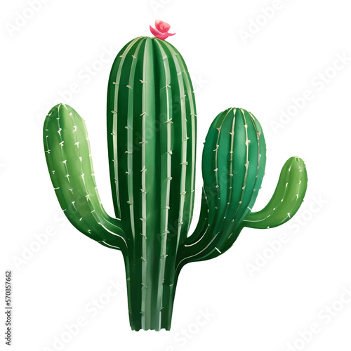 Cactus with Flower Isolated Detailed Hand Drawn Painting Illustration