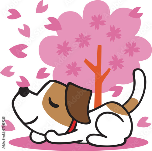 ジャックラッセルテリア犬　桜の木イラスト