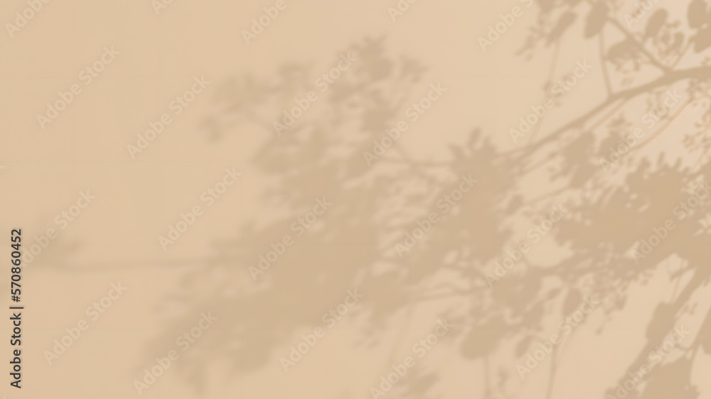 beige background with leaf shadow