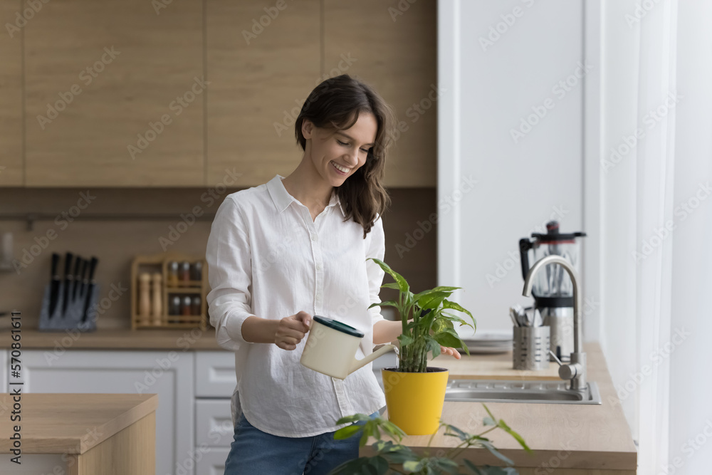 Happy homeowner girl growing, watering potted plant at home, taking care of natural home decoration, standing at kitchen table, using gardener pot, touching green leaves, smiling Happy homeowner girl growing, watering potted plant at home, taking care of natural home decoration, standing at kitchen table, using gardener pot, touching green leaves, smiling