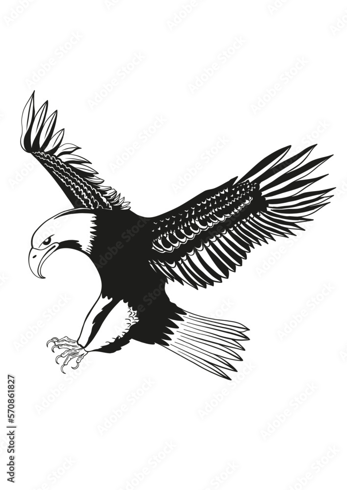 Eagle vector illustration Black and White for Adobe Illıustrator Stock