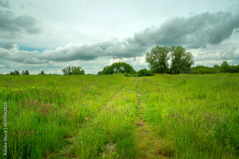 Path through meadow and cloudy sky Path through meadow and cloudy sky
