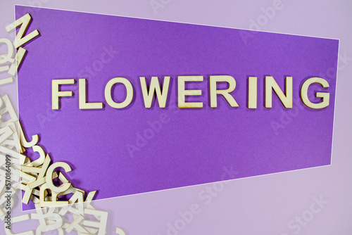 FLOWERING in wooden English language capital letters spilling from a pile of letters on a purple background framed