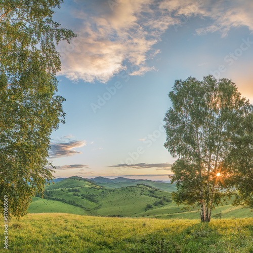 Evening rural landscape, the setting sun shines through the branches, spring nature, meadows and hills