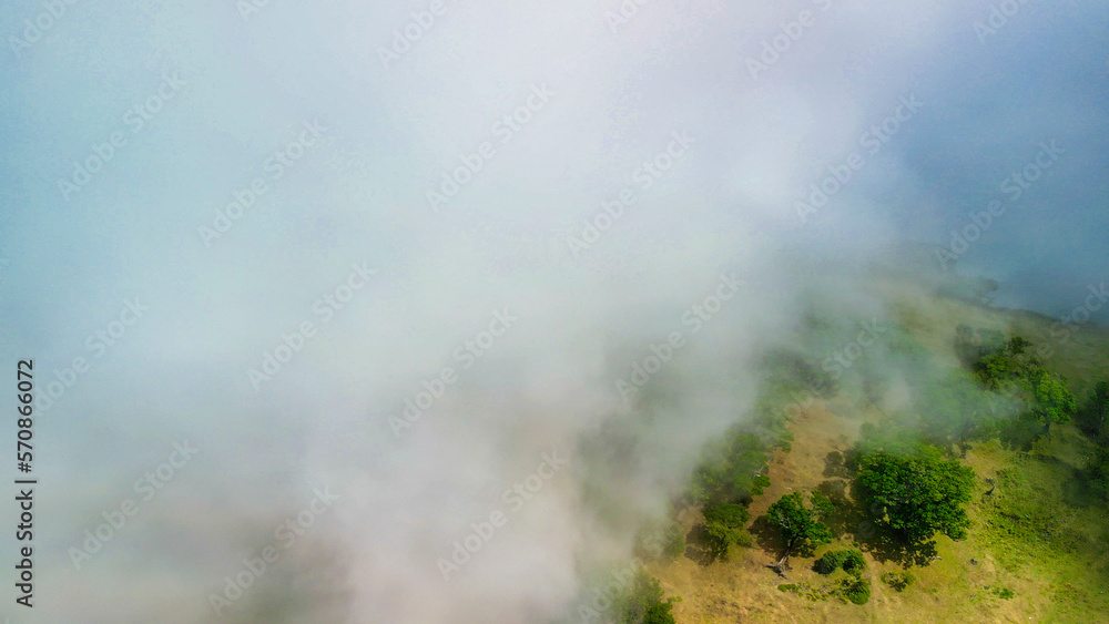 Madeira, Portugal. The magical Fanal Forest is part of the Laurisilva forest. Aerial view from drone with low clouds and trees