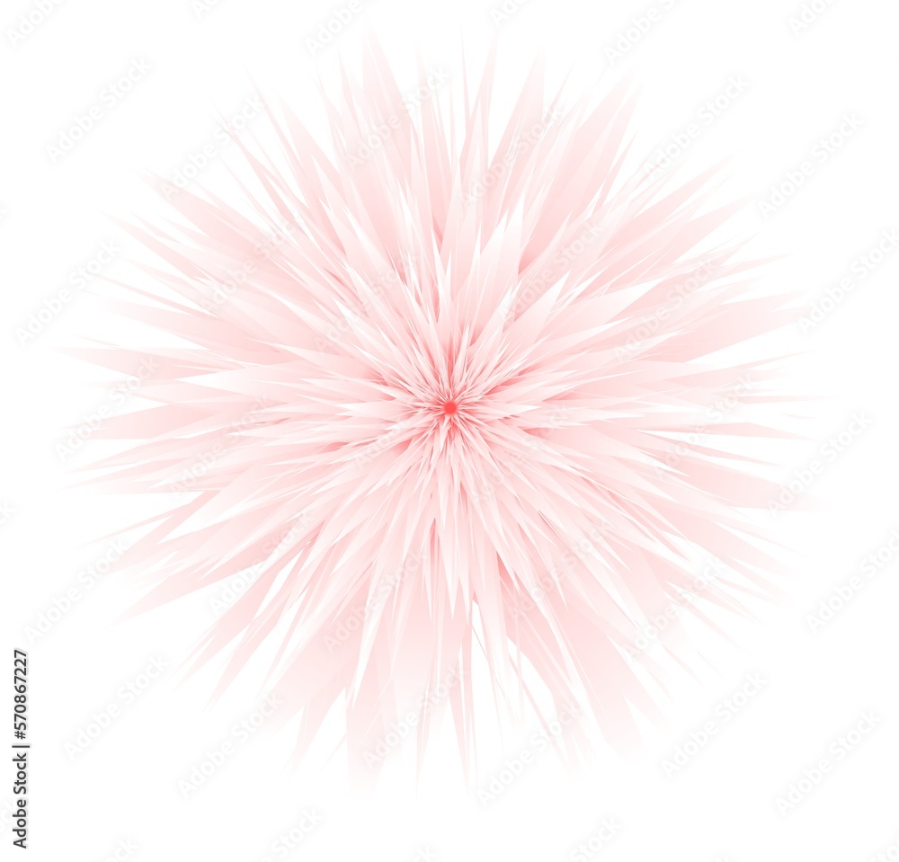 Creative white and light pink flowers layout , floral pattern or background for greeting card of Mothers day,birthday, Valentine`s Day, wedding or happy event Creative white and light pink flowers layout , floral pattern or background for greeting card of Mothers day,birthday, Valentine`s Day, wedding or happy event