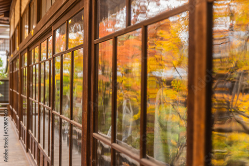 京都 永観堂の紅葉 