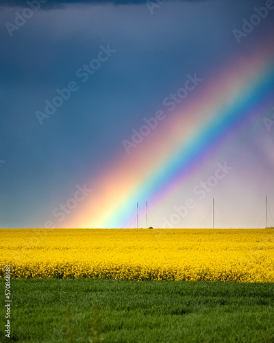 Wallpaper Mural Rainbow over a field of rape and wheat Torontodigital.ca