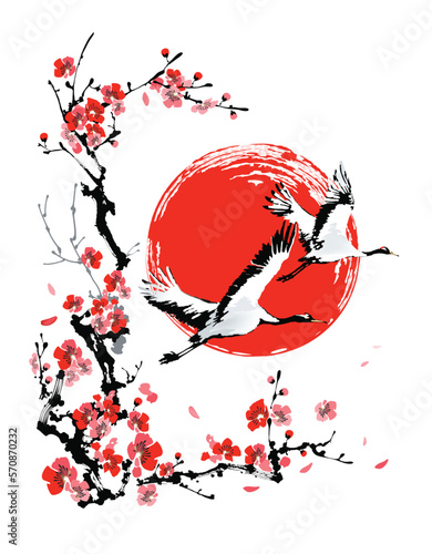 Japanese Cranes and a branch of cherry blossoms against the background of the red sun. Vector illustration. Design in traditional oriental style.